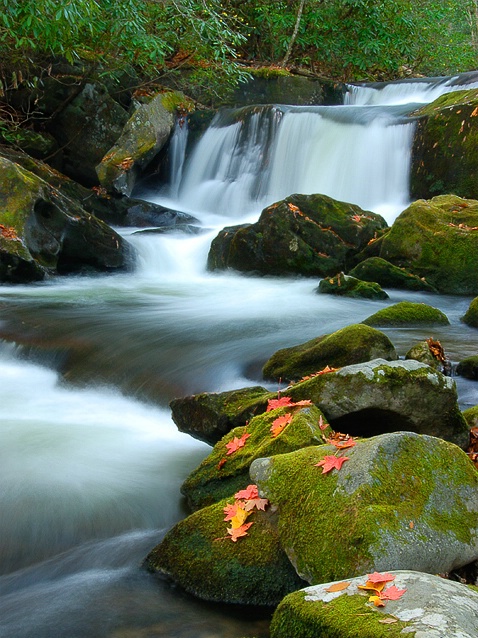 Lynn Camp Falls