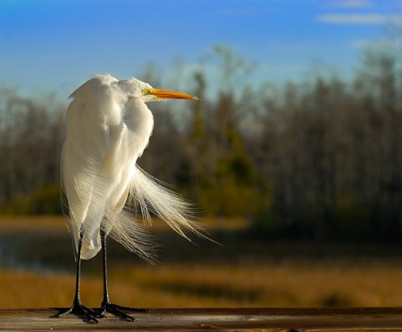 Standing watch