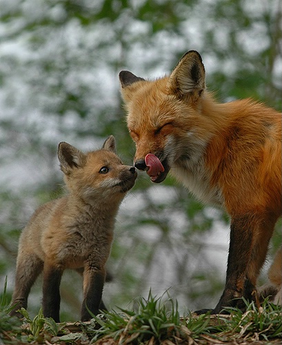 Mother and Baby