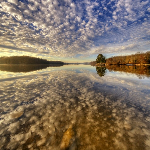 Dappled Reflections