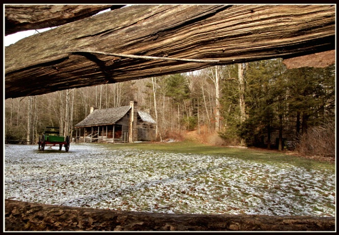 Old Cabin in the Woods