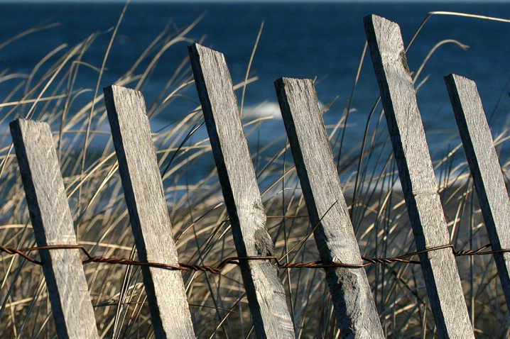 Winter Fence