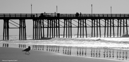 Pier Reflections 