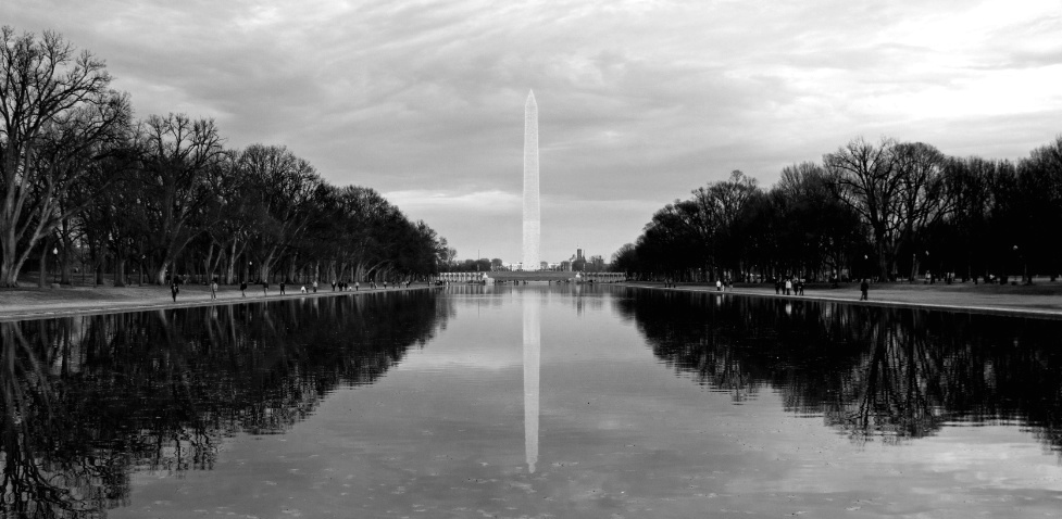 Reflection Pool