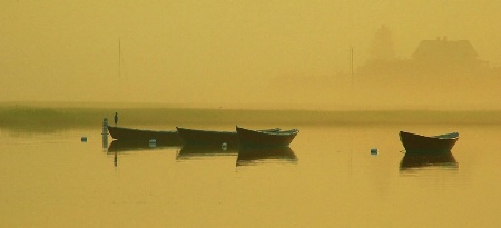 four dories and a bird