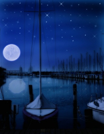 Night at the marina.