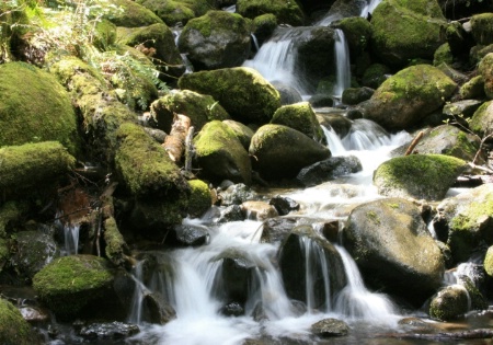 Falls Slow shutter speed