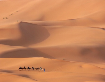 Walking in the Dunes