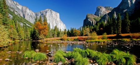 Yosemite Landscape