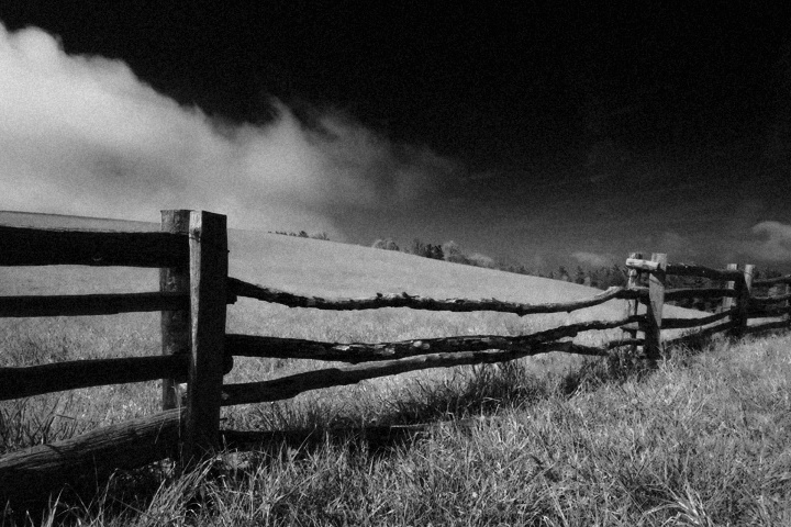 Fenced Meadow