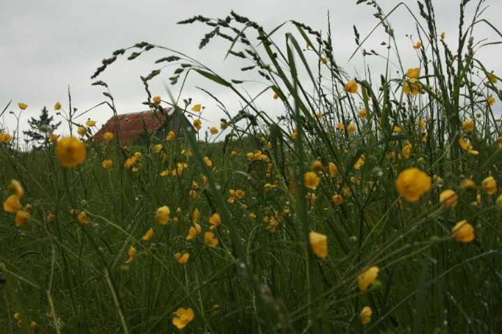 Barn thirds