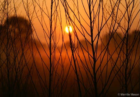 A PEEK-A-BOO SUNRISE