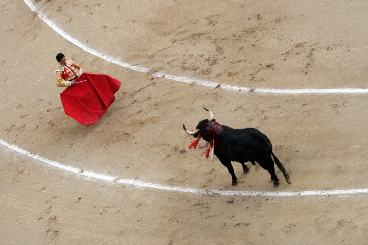 Bullfight 6