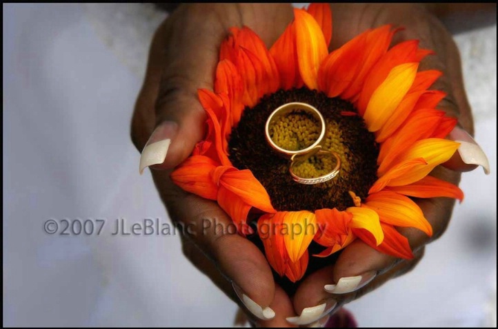 Sunflower Love