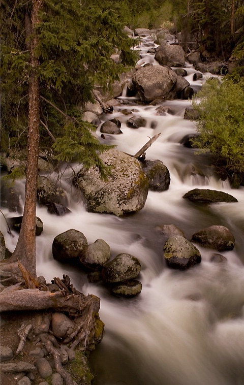 Mountain Spring