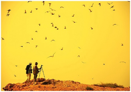  Bird Photographers ! 