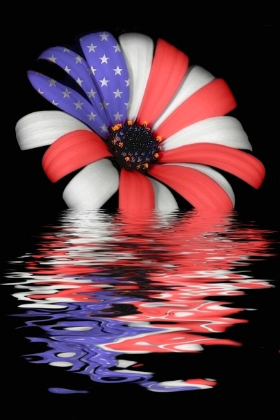 Flooded Freedom Flower