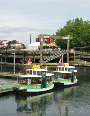 Harbour Ferries