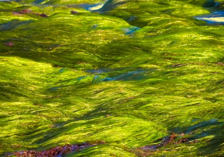 Across The Rocks Abstract