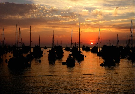 Catalina Sunrise