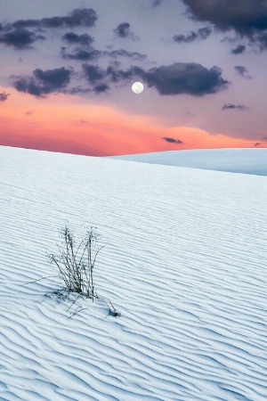 White Sands NM