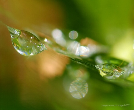 Droplets