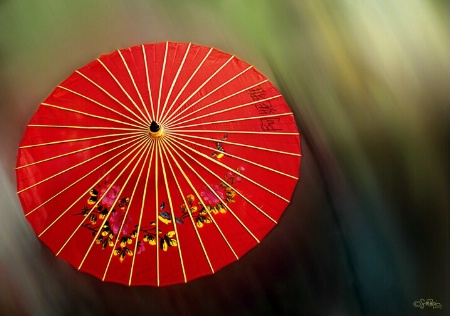 The Red Umbrella