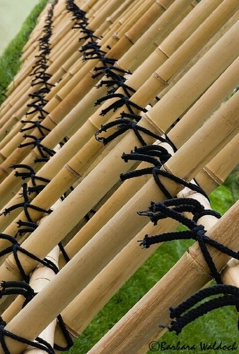 Bamboo fence