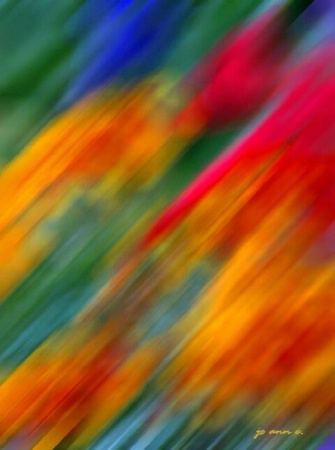 Colorful Blur!