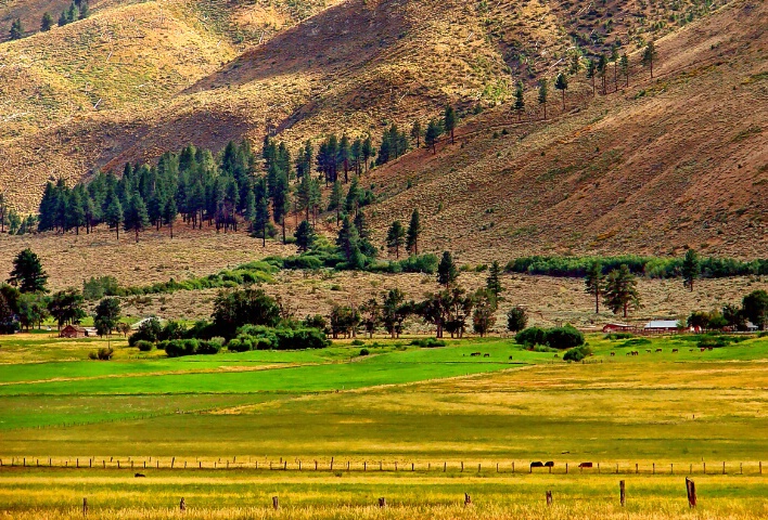 Nevada Oasis