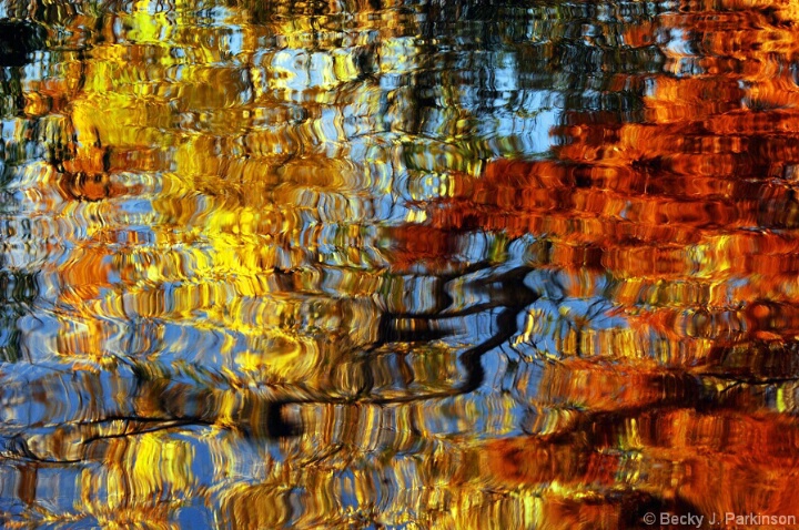 Fall Reflection