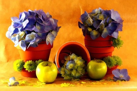 Green Apples & Hydrangea