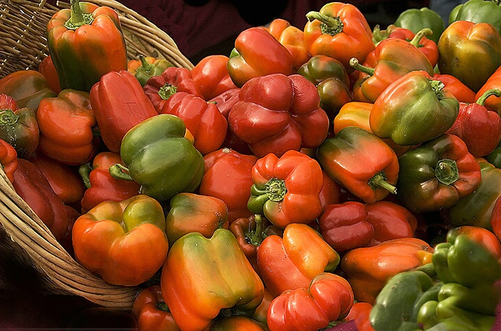 Farmers' Market - Diffused Light