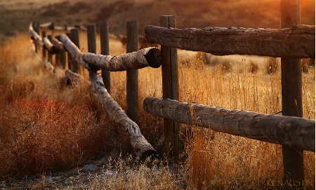 Fence Line