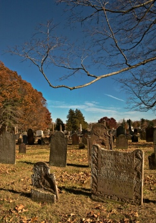 Wide Angle #1 - Old Burial Grounds