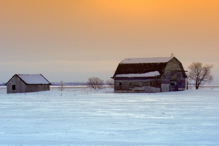 Evening at Abandon Farm