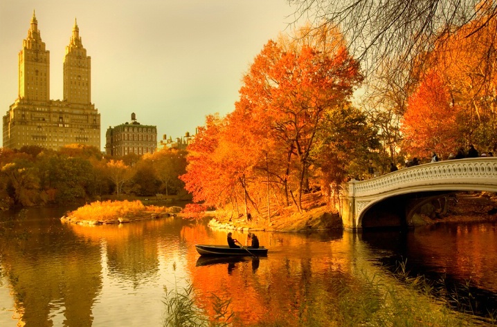 Autumn in Central Park