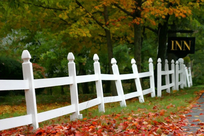 Strolling Through Autumn