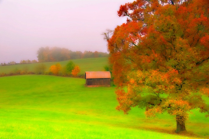 Barn In The Meadow