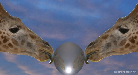 giraffe_in_sky_w_ball_close-up