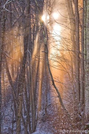 Daybreak On The Mountain