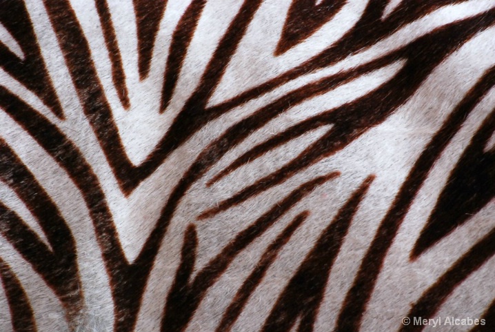 "Zebra" Pillow