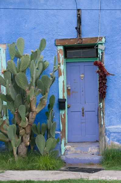 Cactus and Door-Tuscon Barrio - ID: 5494606 © William Dow