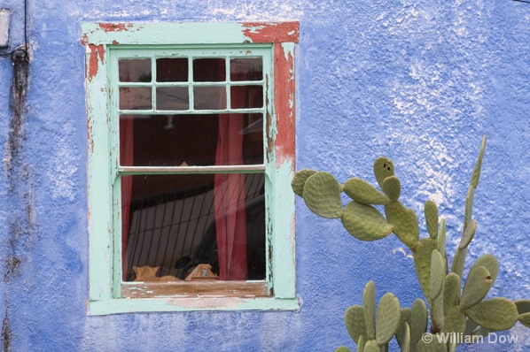 Cat in Window-Tuscon Barrio - ID: 5494608 © William Dow