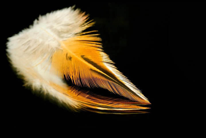 Feather Soft