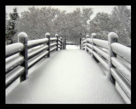 Snowy New Year Morning