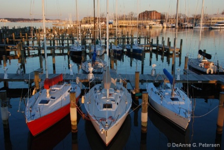 Annapolis Harbor