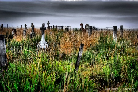 Cullenswood Grave Yard....