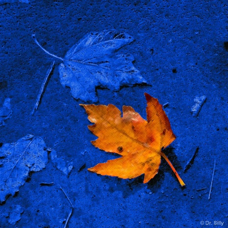 Orange on Blue