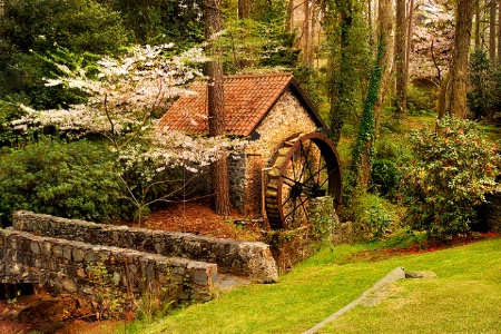 Cherry Blossom Mill